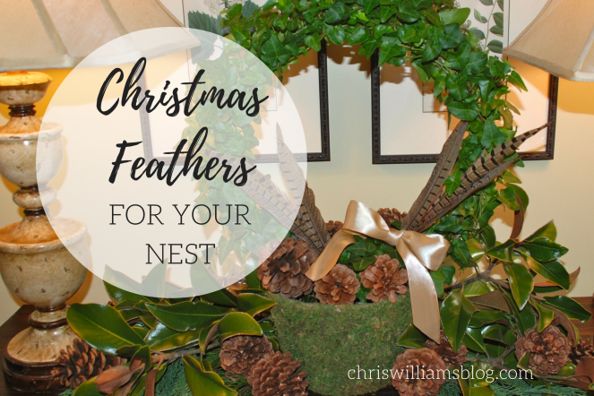 christmasfeathersfornestpng
